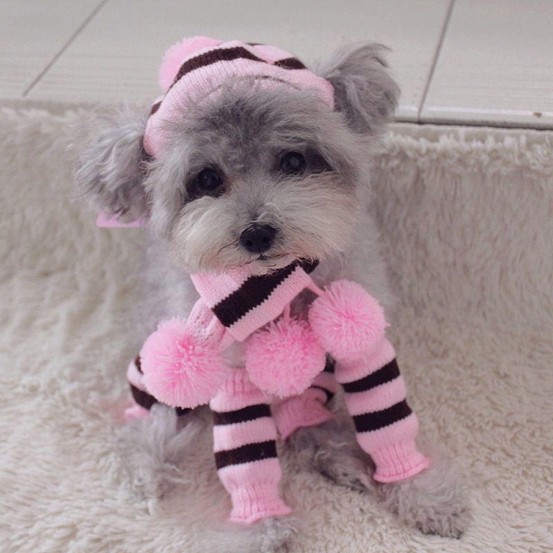 Zestaw zimowy dla psa z tęczow – Winter Clothing Leg Warmers recenzja i cena