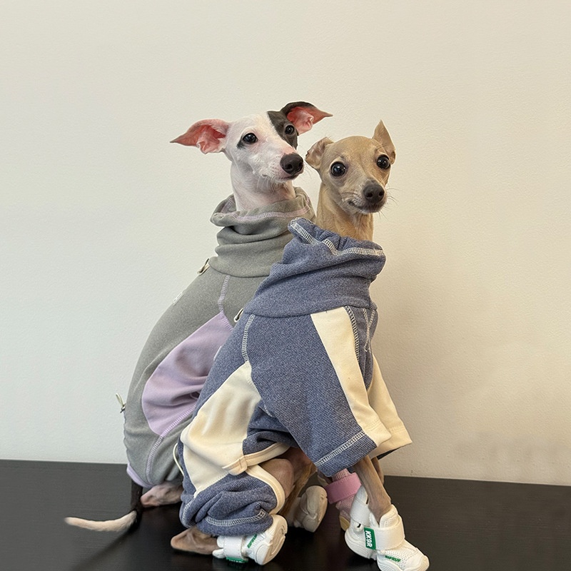 Ubrania dla psów na jesień i z – Winter Clothing Leg Warmers recenzja i cena