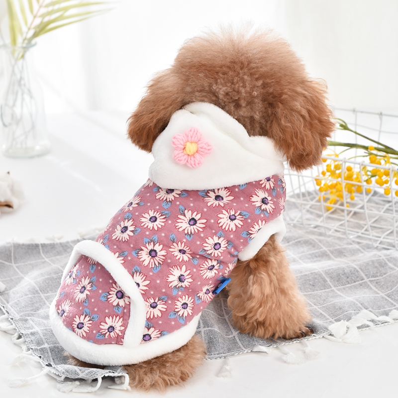 W promocji: Bluza z kapturem d – Winter Clothing On Sale recenzja i cena